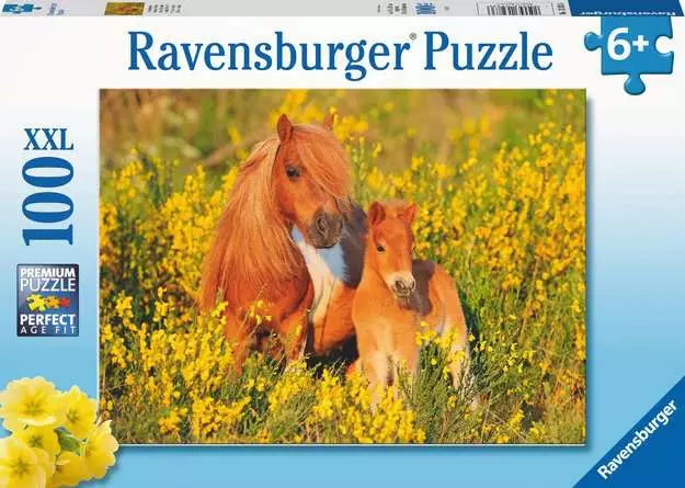 Kinderpuzzle ab 6 Jahren - Shetlandponys - 100 Teile
