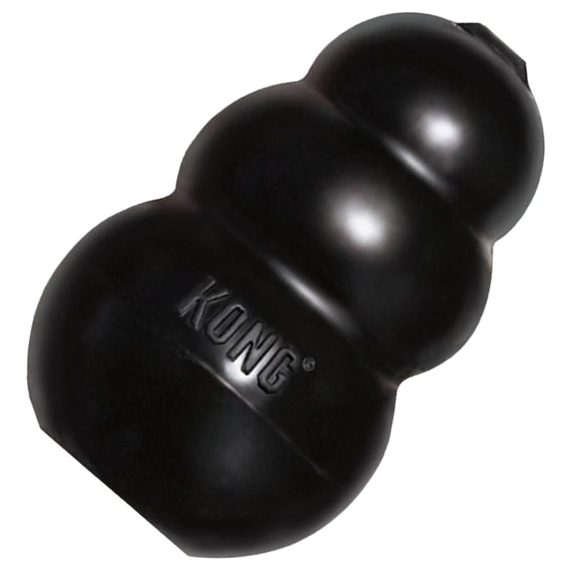 KONG Extreme zu TOP-Preisen