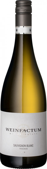 2022 Sauvignon Blanc ** trocken - Weinfactum