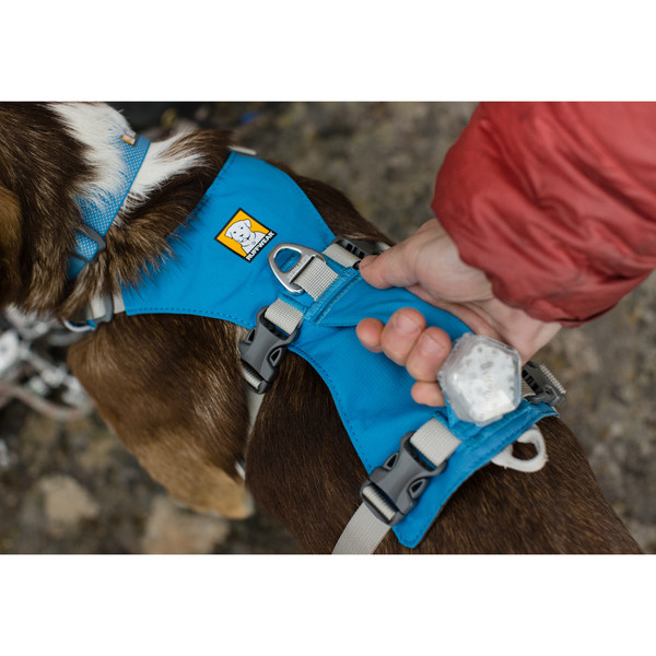 FLAGLINE HARNESS - Hundezubehör