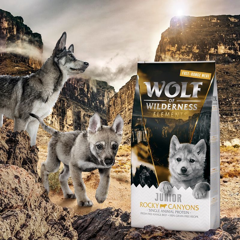 Wolf of Wilderness JUNIOR 'Rocky Canyons' - Freiland-Rind