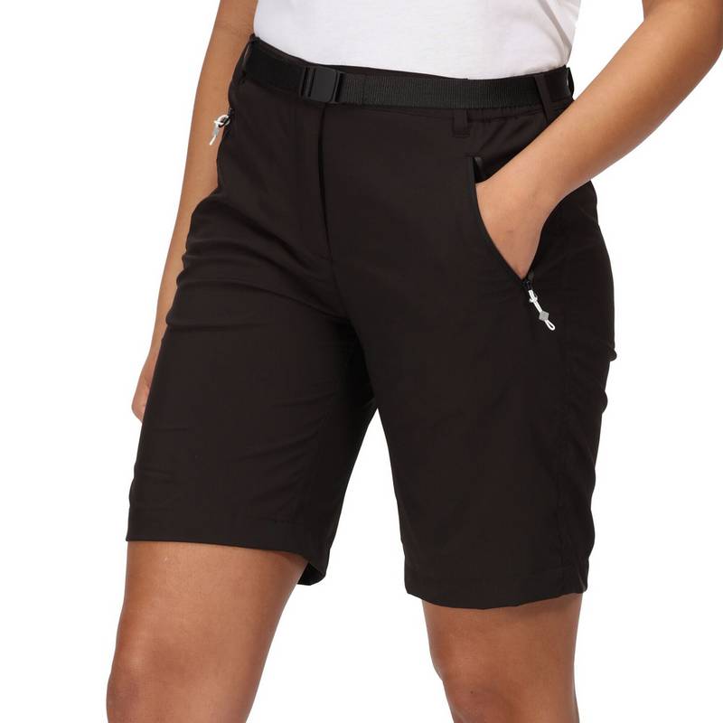 Regatta Xert It Shorts Damen