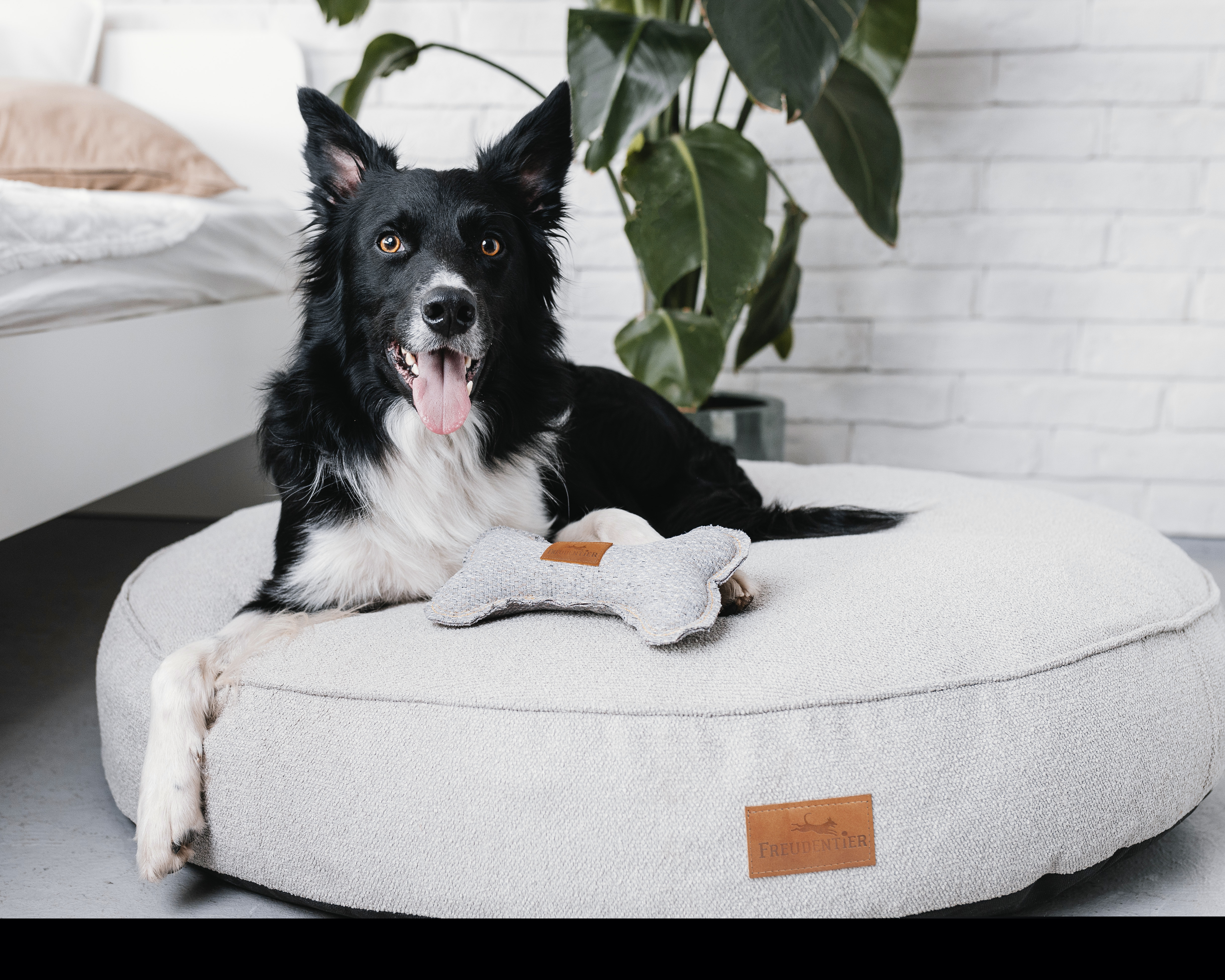Freudentier Hundebetten Freudentier kuscheliges Hundebett mit Memory Foam ⌀100cm hellgrau 1 m