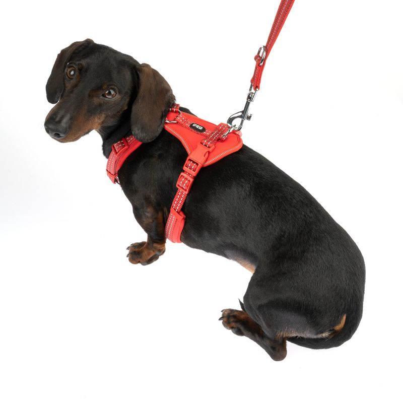 TIAKI Geschirr Neoprene, rot zu TOP-Preisen