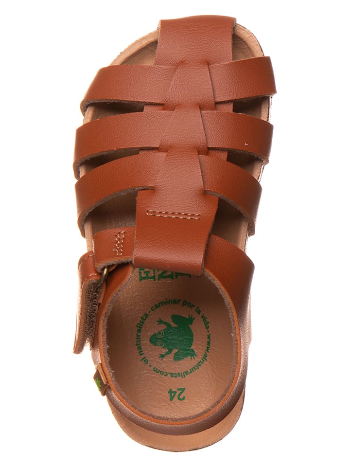 El Naturalista Halbsandalen in Braun günstig kaufen