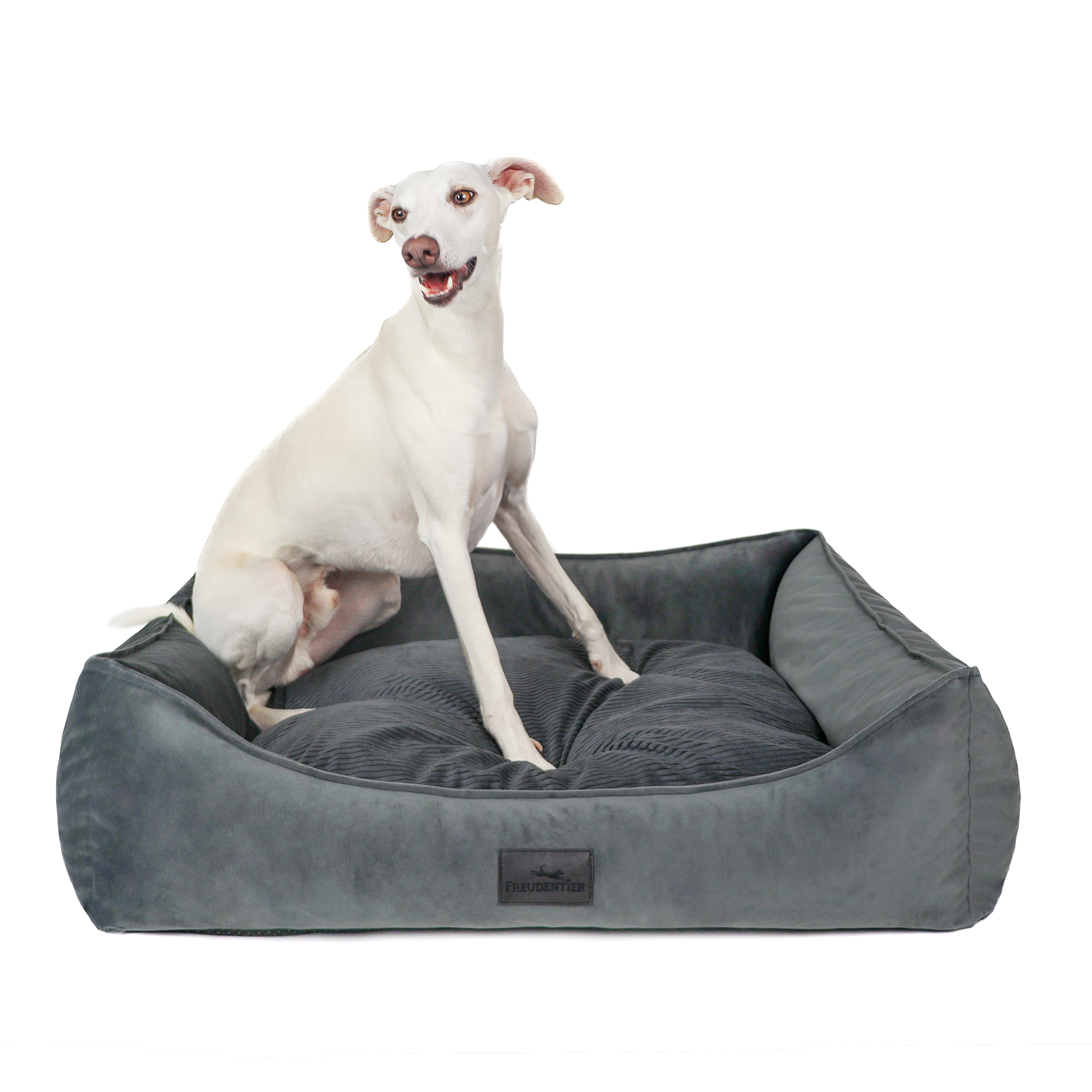 Freudentier Hundebetten Freudentier orthopädisches Hundebett mit Cord/Velour Wendekissen anthrazit XXL