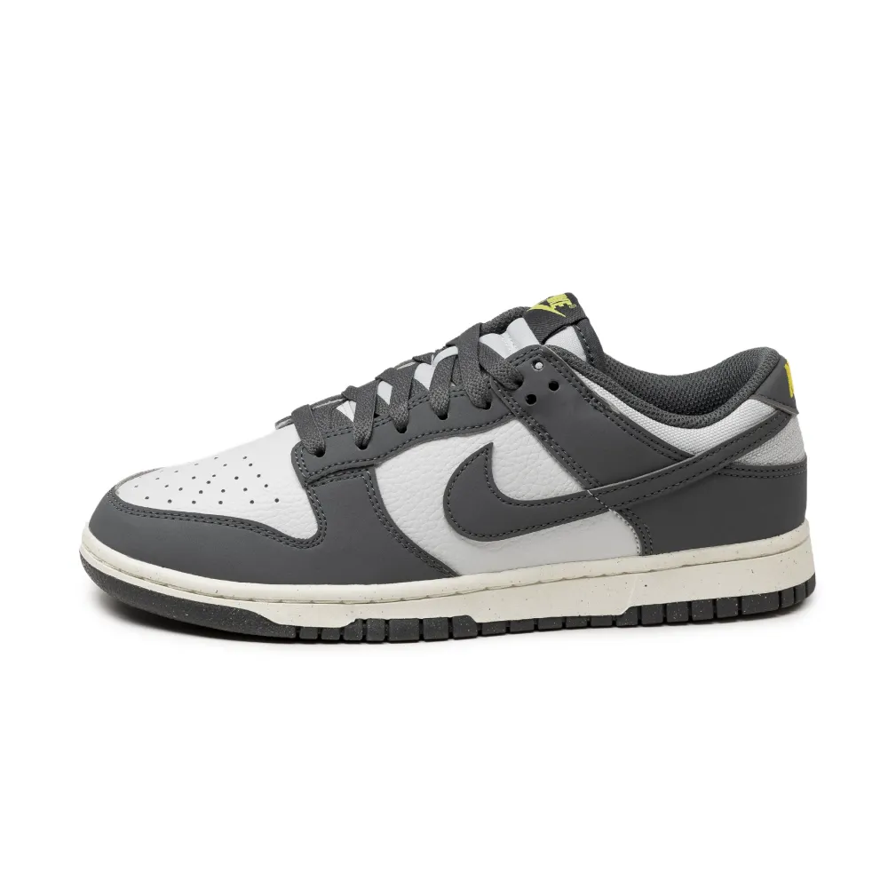 Nike Dunk Low Next Nature FZ4621-001 / grau
