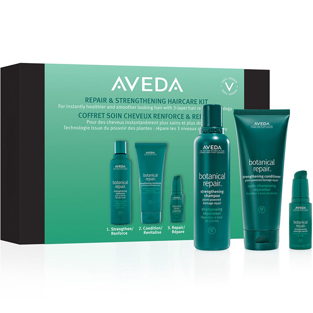 AVEDA Botanical Repair Haarpflege Set