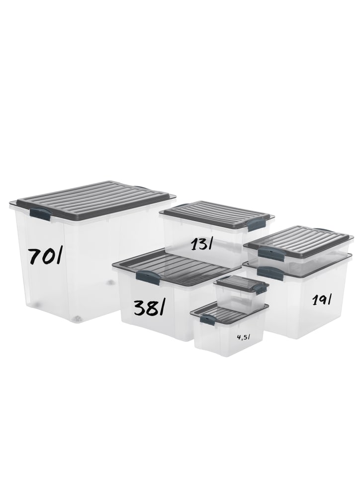 Rotho Compact 3er-Set Aufbewahrungsbox 38l mit Deckel in Grün günstig kaufen onesize