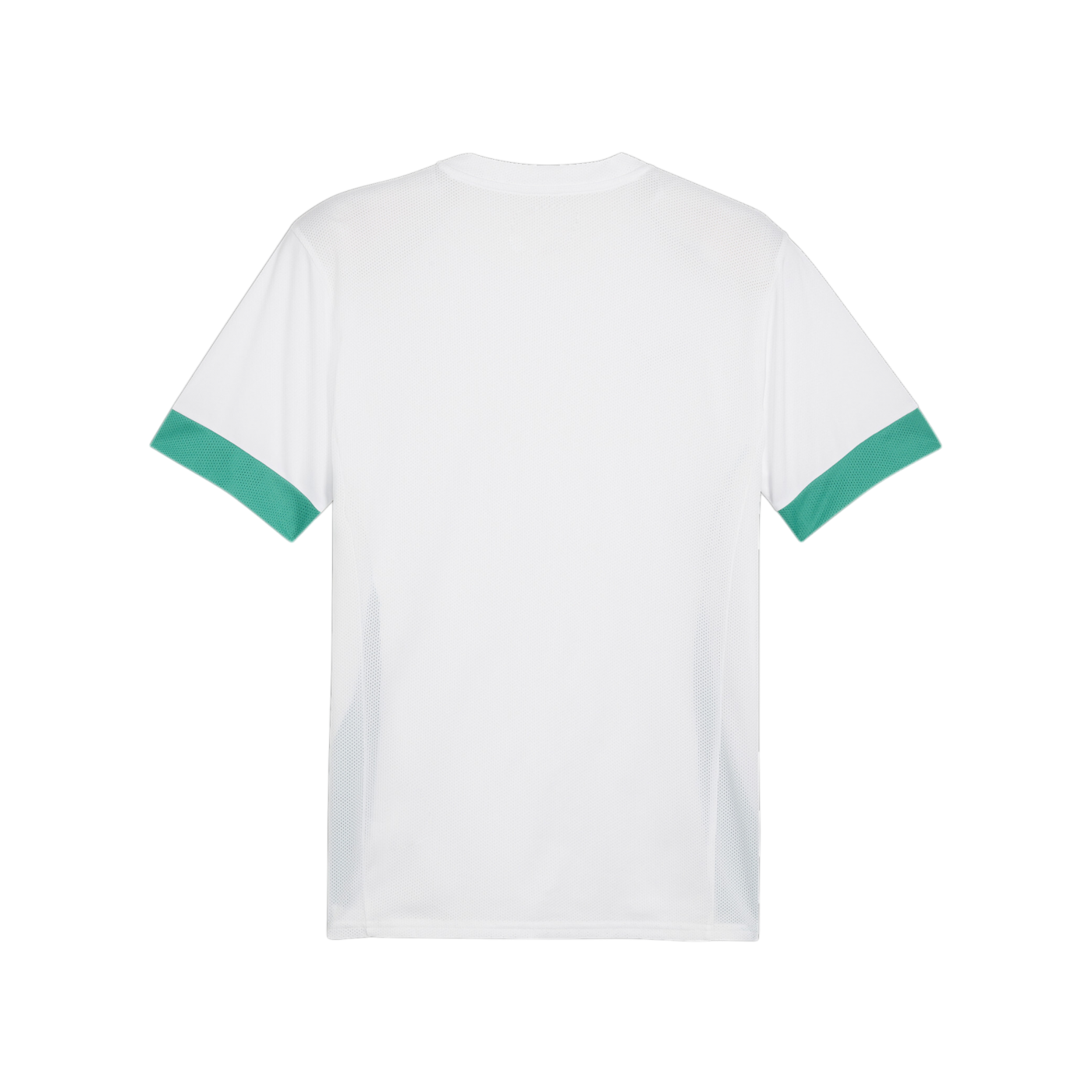 PUMA teamGOAL Matchday Trikot Weiss Grün F15