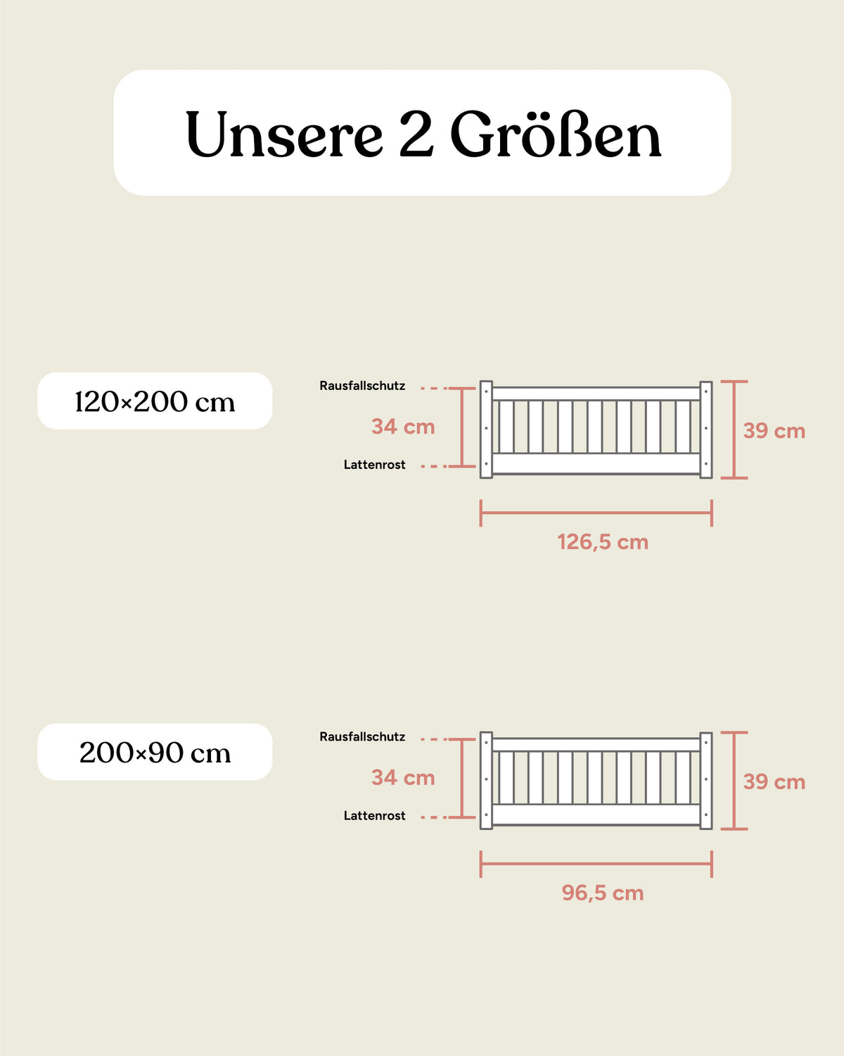 Bodenbett Buche