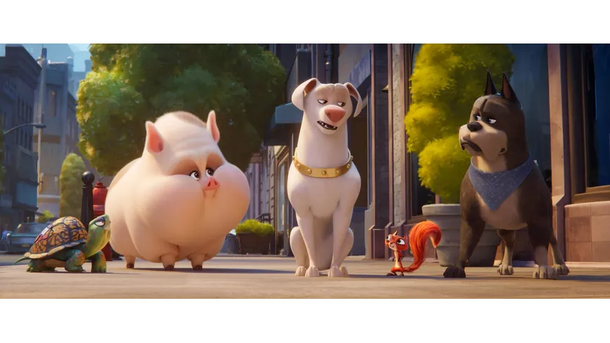 DC League of Super-Pets