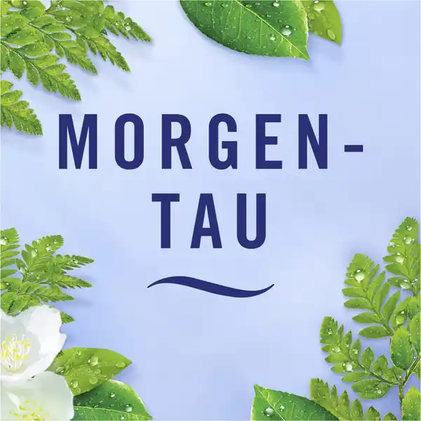 Lufterfrischer Extra Stark Morgentau