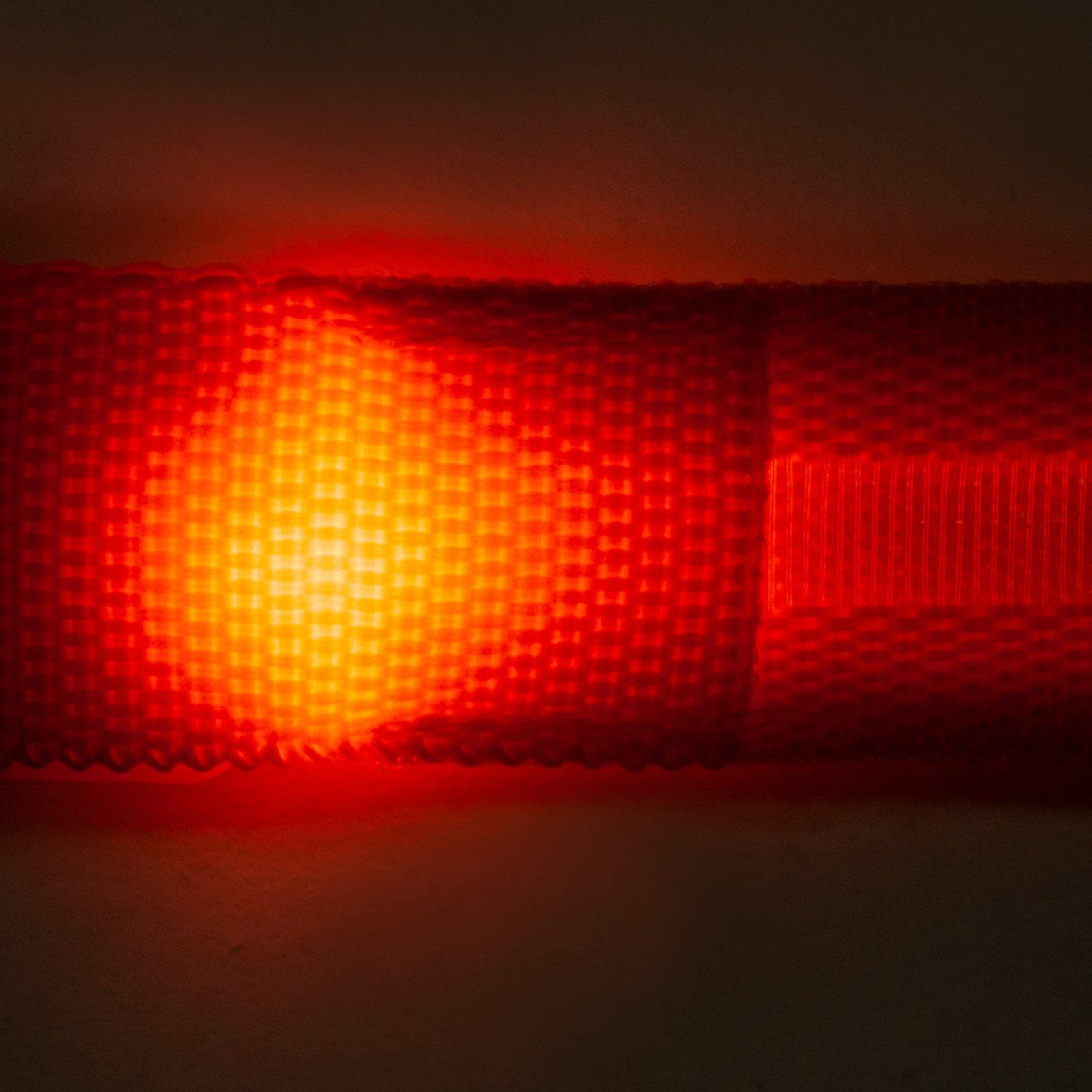 PFIFF Vorderzeug Pfiff LED Reflektions-Vorderzeug - orange - Warmblut, (orange - Warmblut)