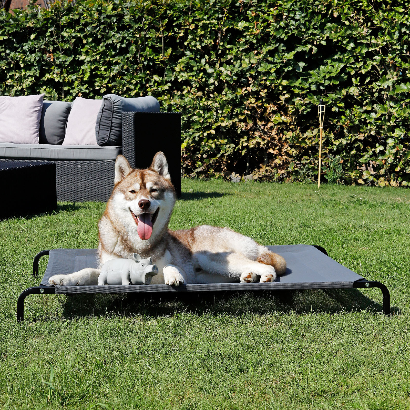 Lionto Hundebetten Lionto erhöhte Hundeliege grau L