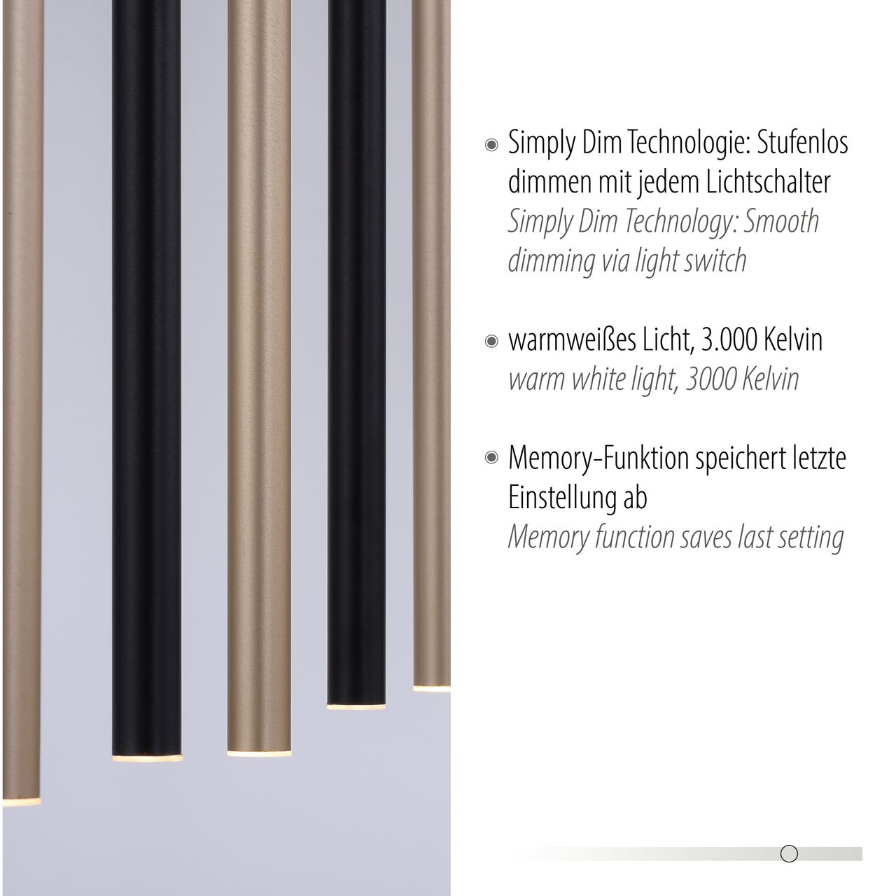 Paul Neuhaus LED Pendelleuchte FLUTE, stufenlos dimmbar, 3000 Kelvin, Schwarz