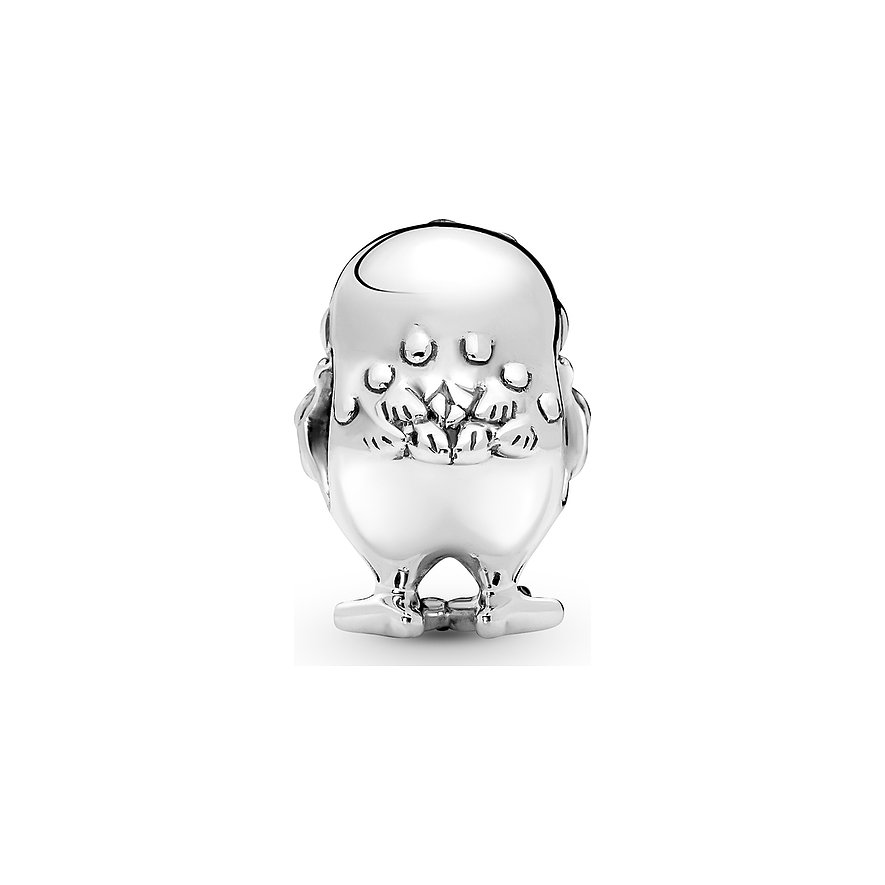 Pandora Charm Moments