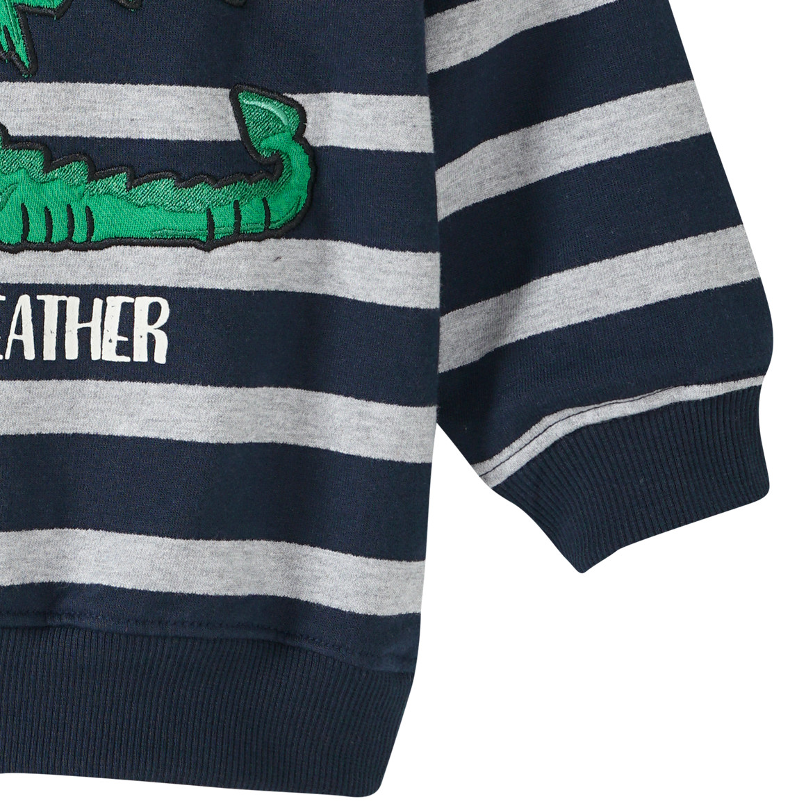Jungen Hoodie mit Drachen-Applikation
