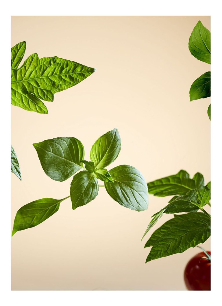 Candela profumata al basilico bianco Rituals - 360 g