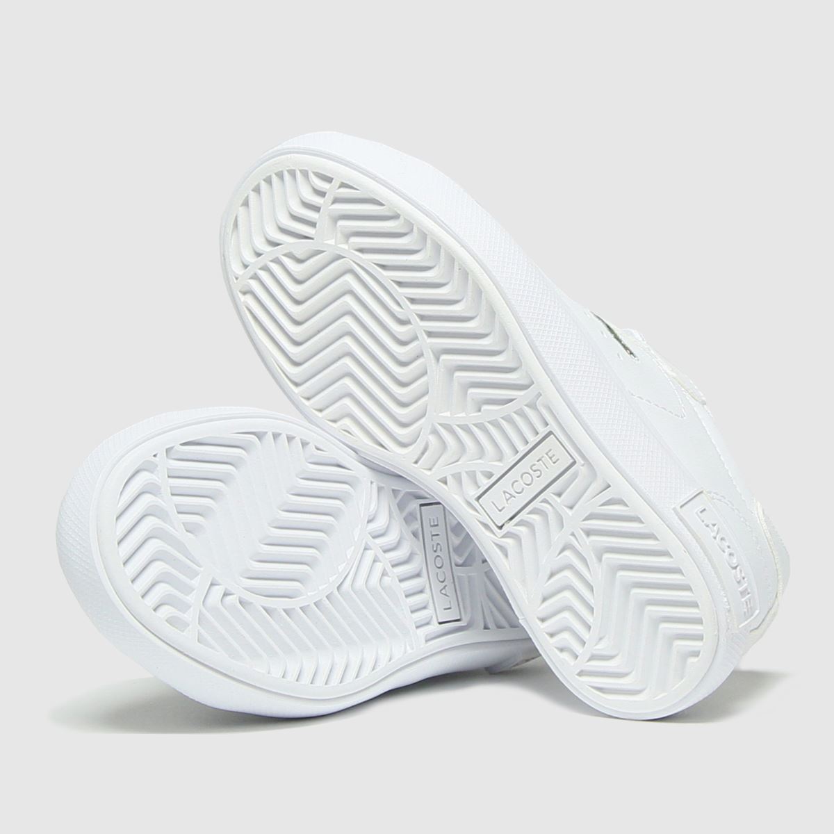 Lacoste vita Powercourt småbarnsskor