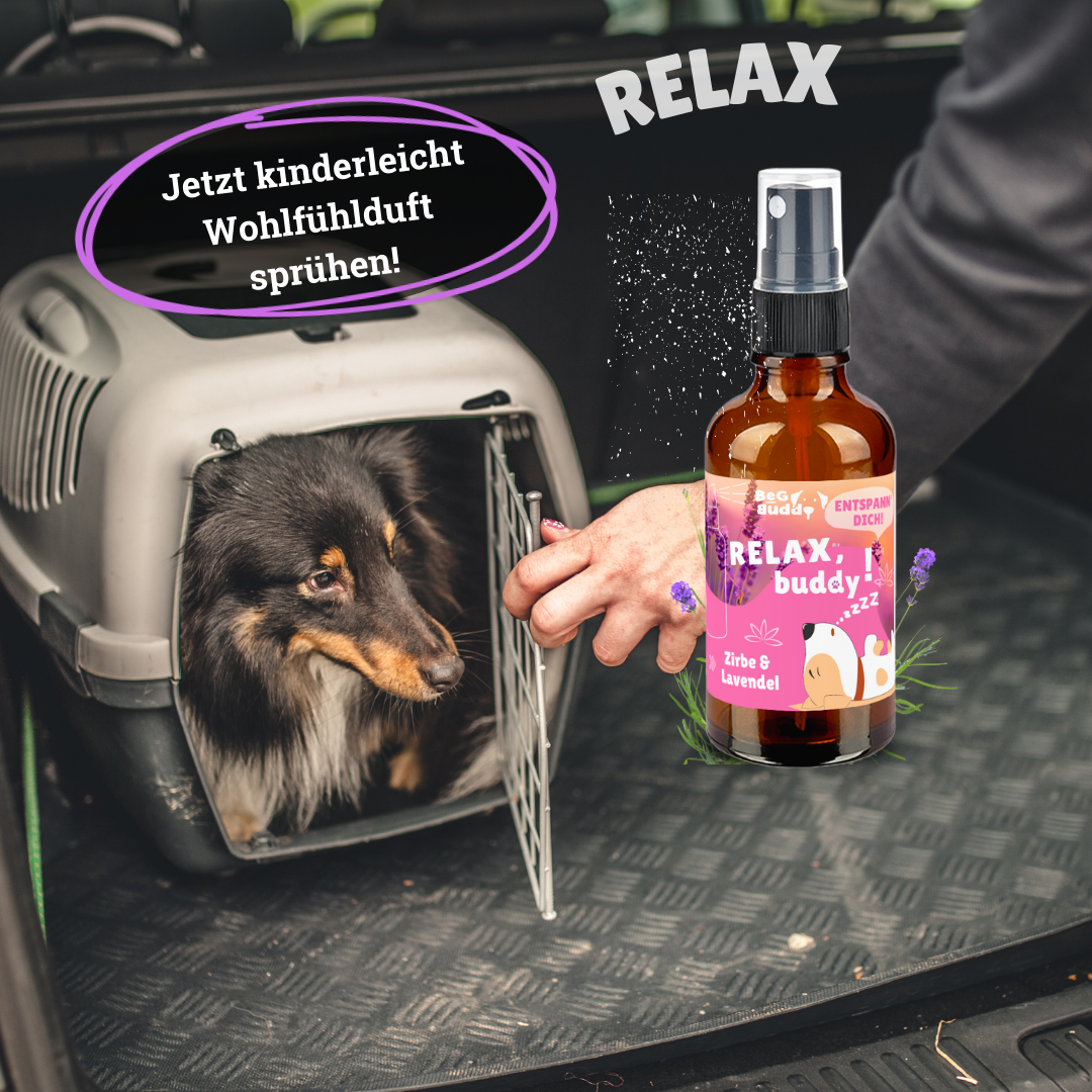 BeG Buddy Beruhigungsmittel BeG Buddy Coolness Sparset für Hunde
