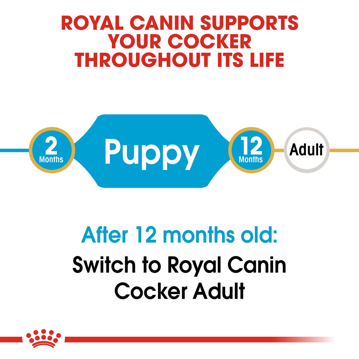 ROYAL CANIN Cocker Puppy Welpenfutter trocken kaufen bei ZooRoyal