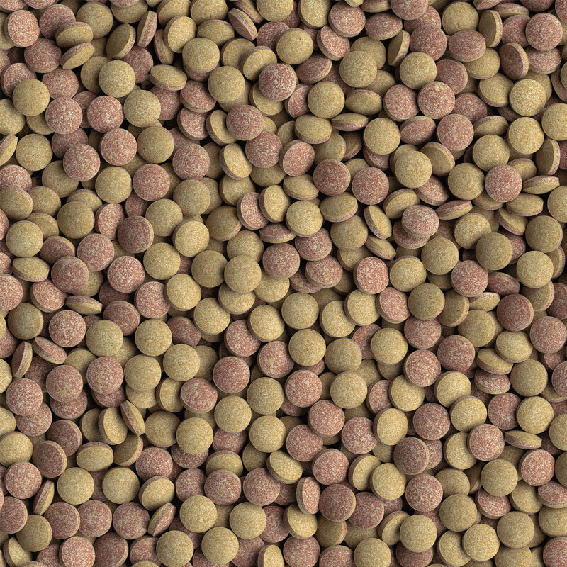 Tetra Hauptfutter Tetra Tablets TabiMin 2050 Tabletten