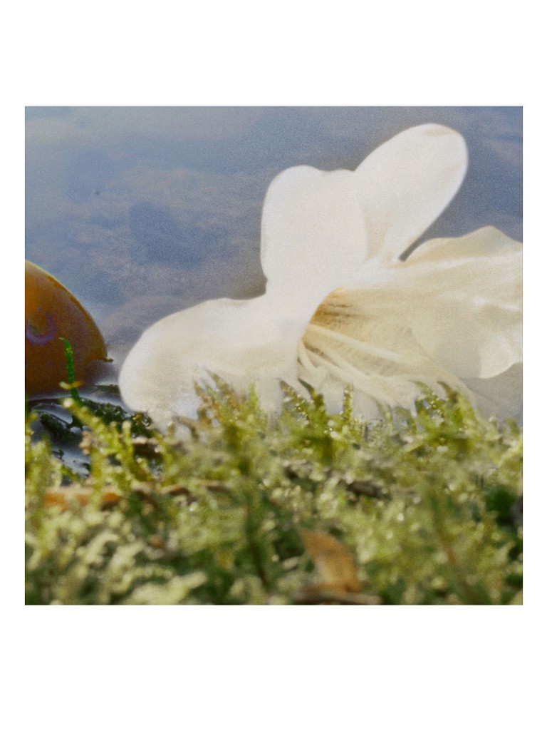 Chloé Nomade woda perfumowana