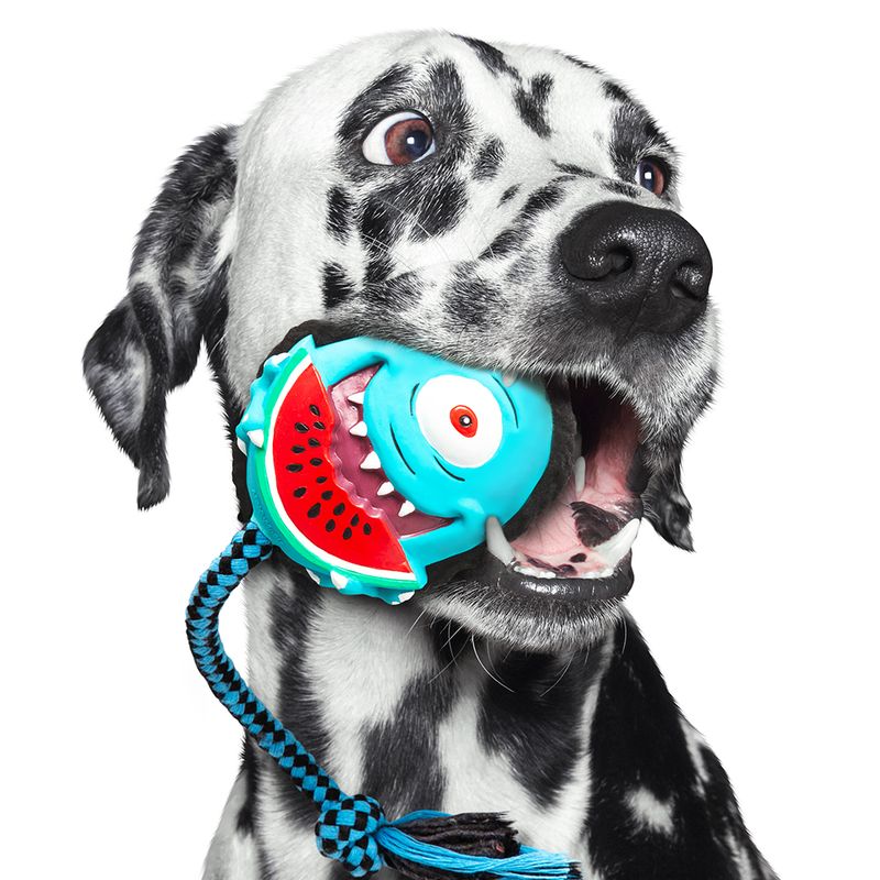 Max & Molly Hundespielzeug Bubba King zu TOP-Preisen