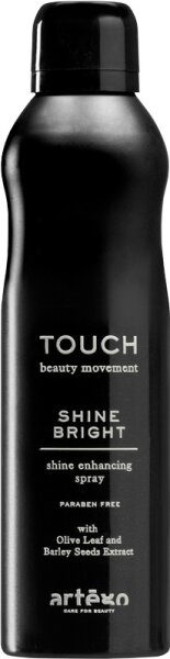 Artego Touch Shine Bright Glanzspray