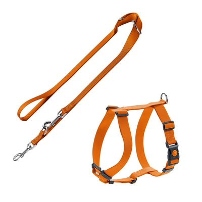 HUNTER Set: Geschirr London Vario Rapid + Führleine London, orange