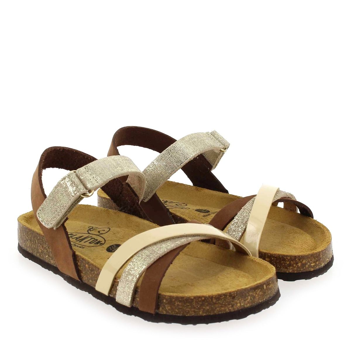 Plakton  SOFIA - Camel Argent