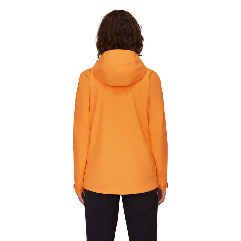 Mammut Convey Tour Hooded Hardshelljacke Damen