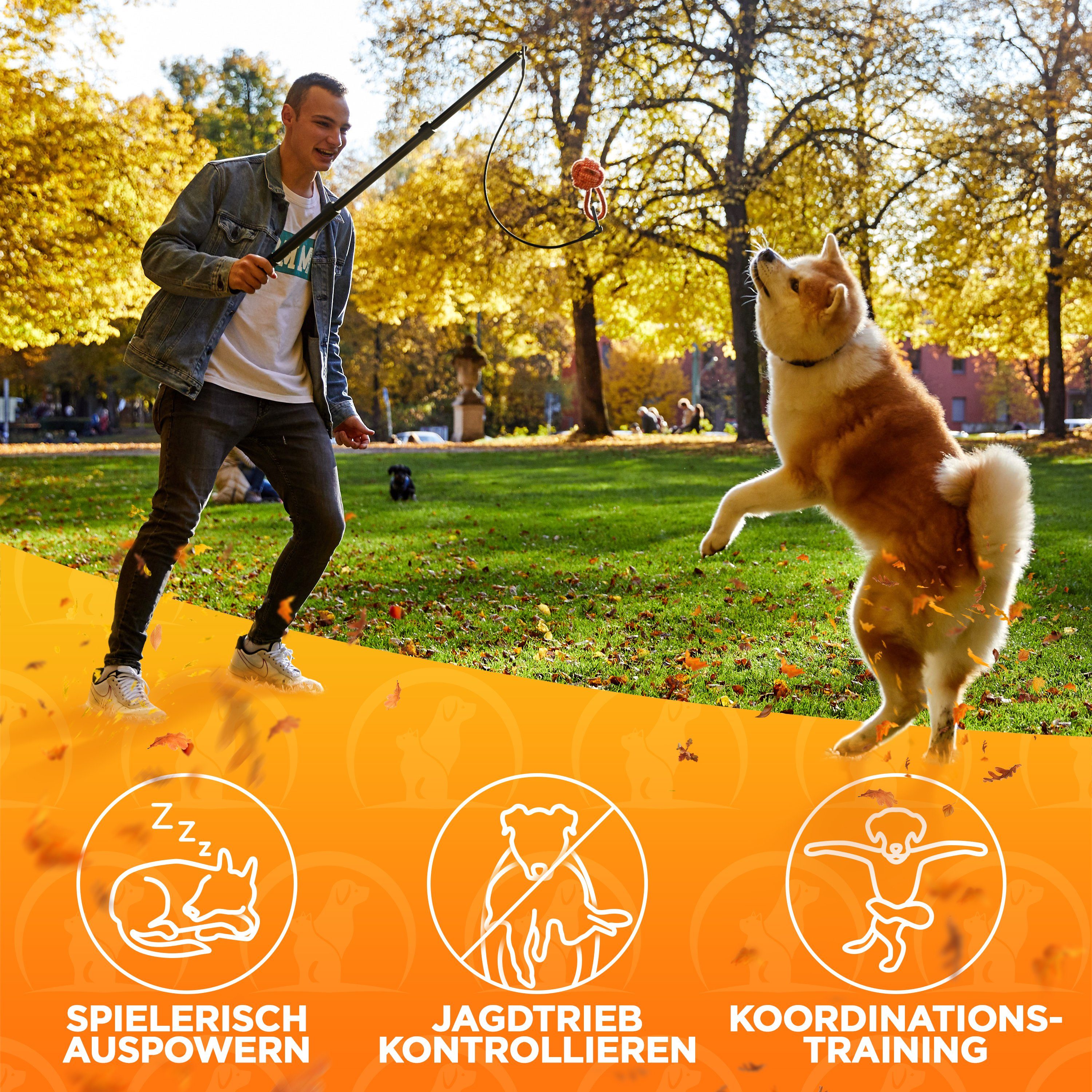 Tierhood Reizangel Tierhood ® Reizangel für kleine und große Hunde inkl Hundespielzeug