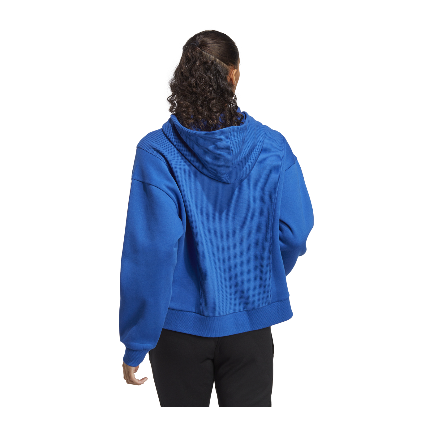 adidas Tiro 23 Competition Sweatshirt Damen Blau