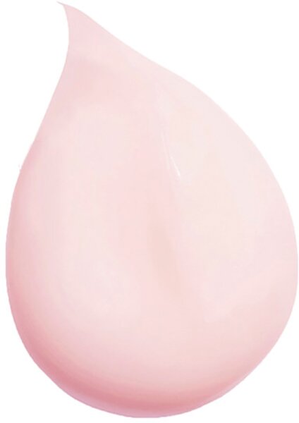 Sisley Instant Perfect Primer