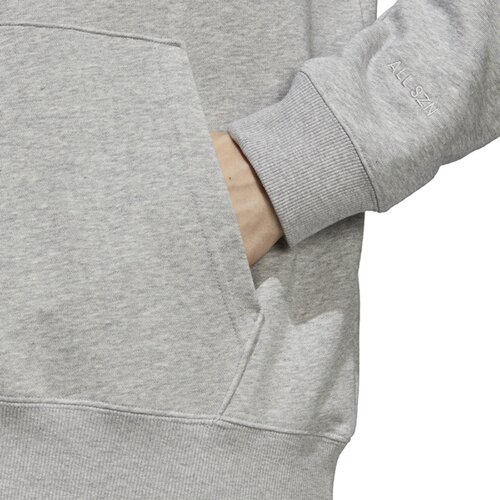 HERREN KAPUZENSWEAT M ALL SZN HD