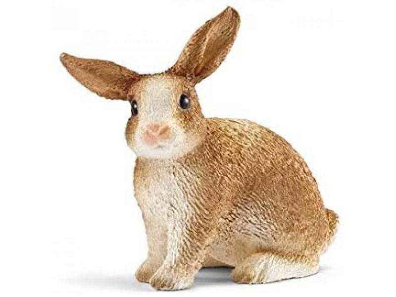 Lapin