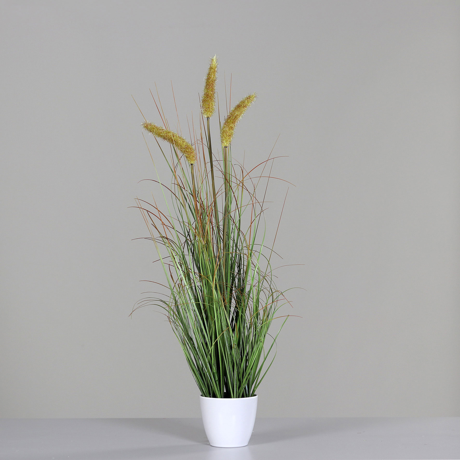 DPIGras m. Fruchtstand 75cm