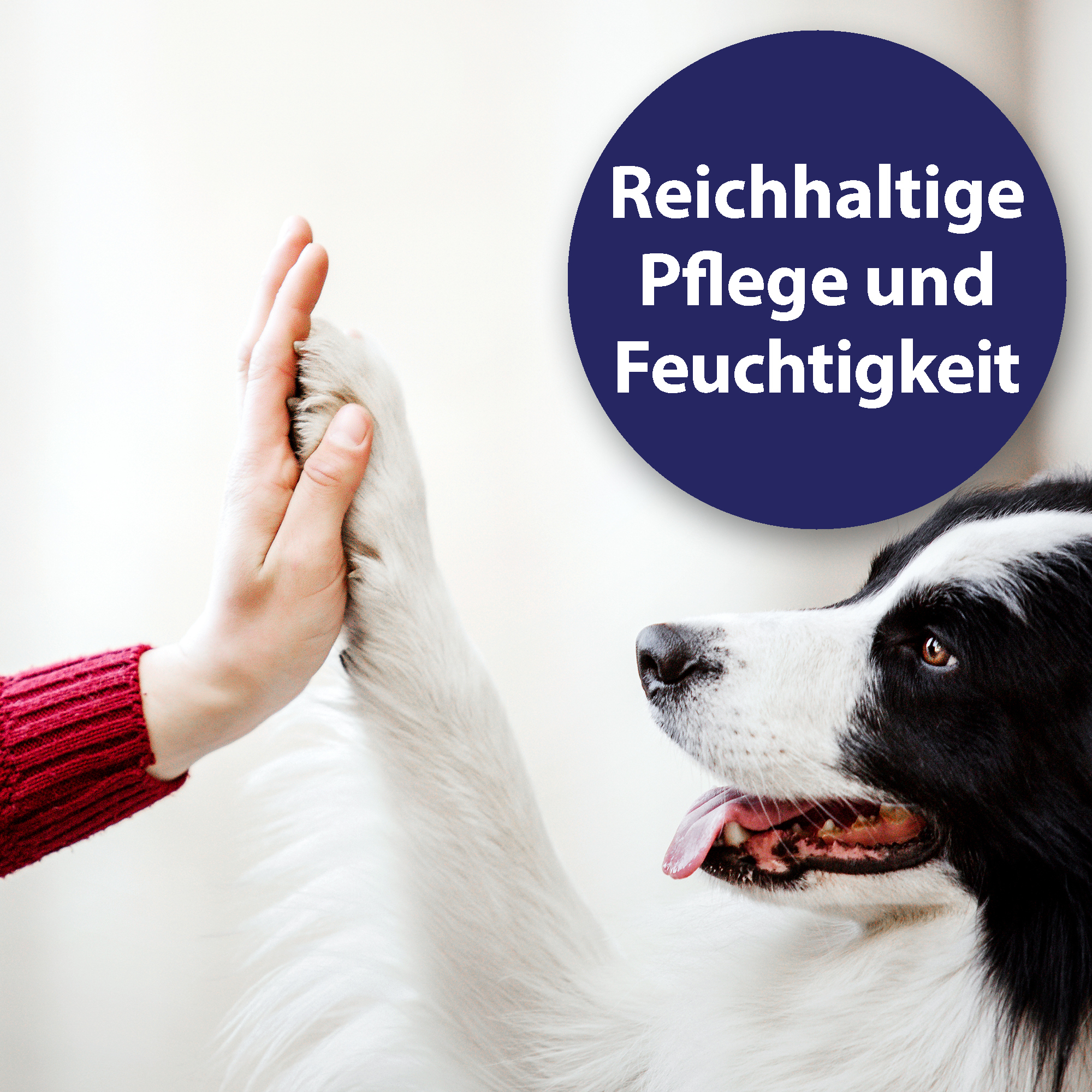 Canosept Pfotenpflege Canosept Pfotenpflege für Hunde 75 g