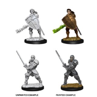 Male Human Fighter: Nolzurs Marvelous Unpainted Minis