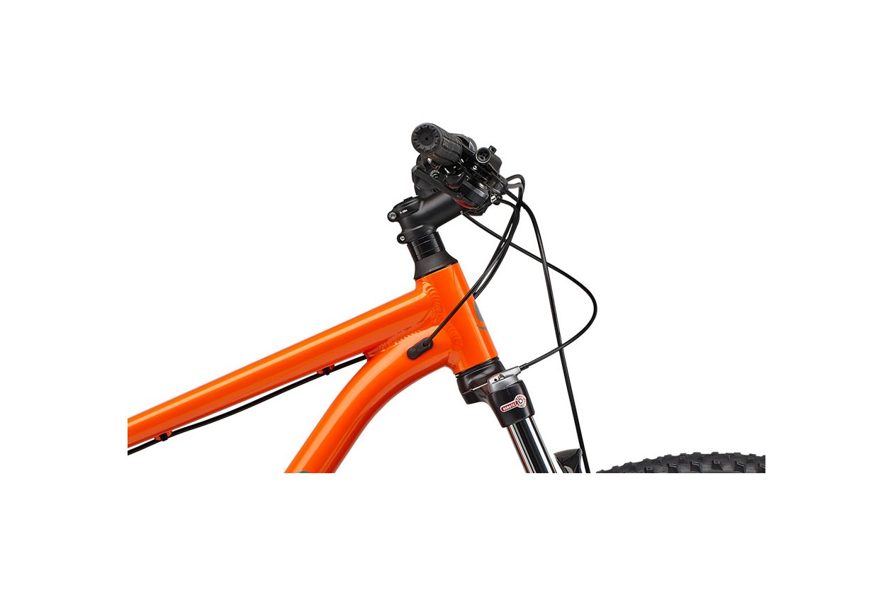 Cannondale Trail 6 - 2021 - 29 Zoll - Diamant