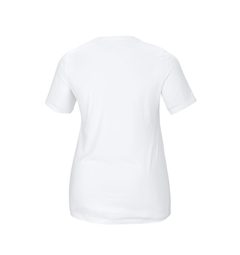e.s. T-Shirt cotton stretch, Damen, plus fit
