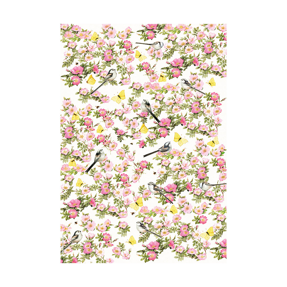 Geschenkpapier-Buch - Schöner schenken, 10 Bogen á 50 x 70 cm + 9 Geschenkanhänger