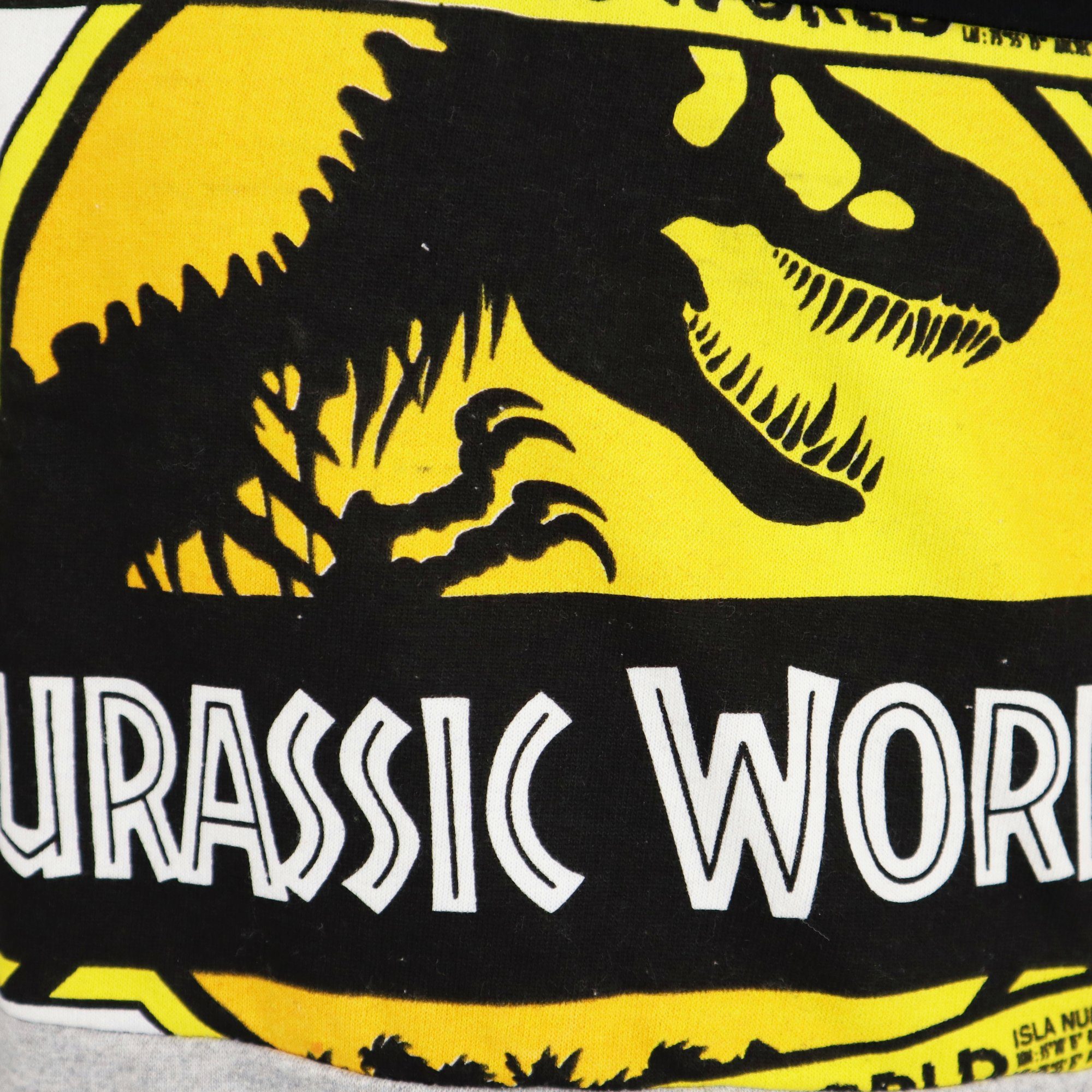 Jurassic World Sweater Jurassic World T-Rex Kinder Jungen Pullover Dino Gr. 116 bis 146, 100% Baumwolle