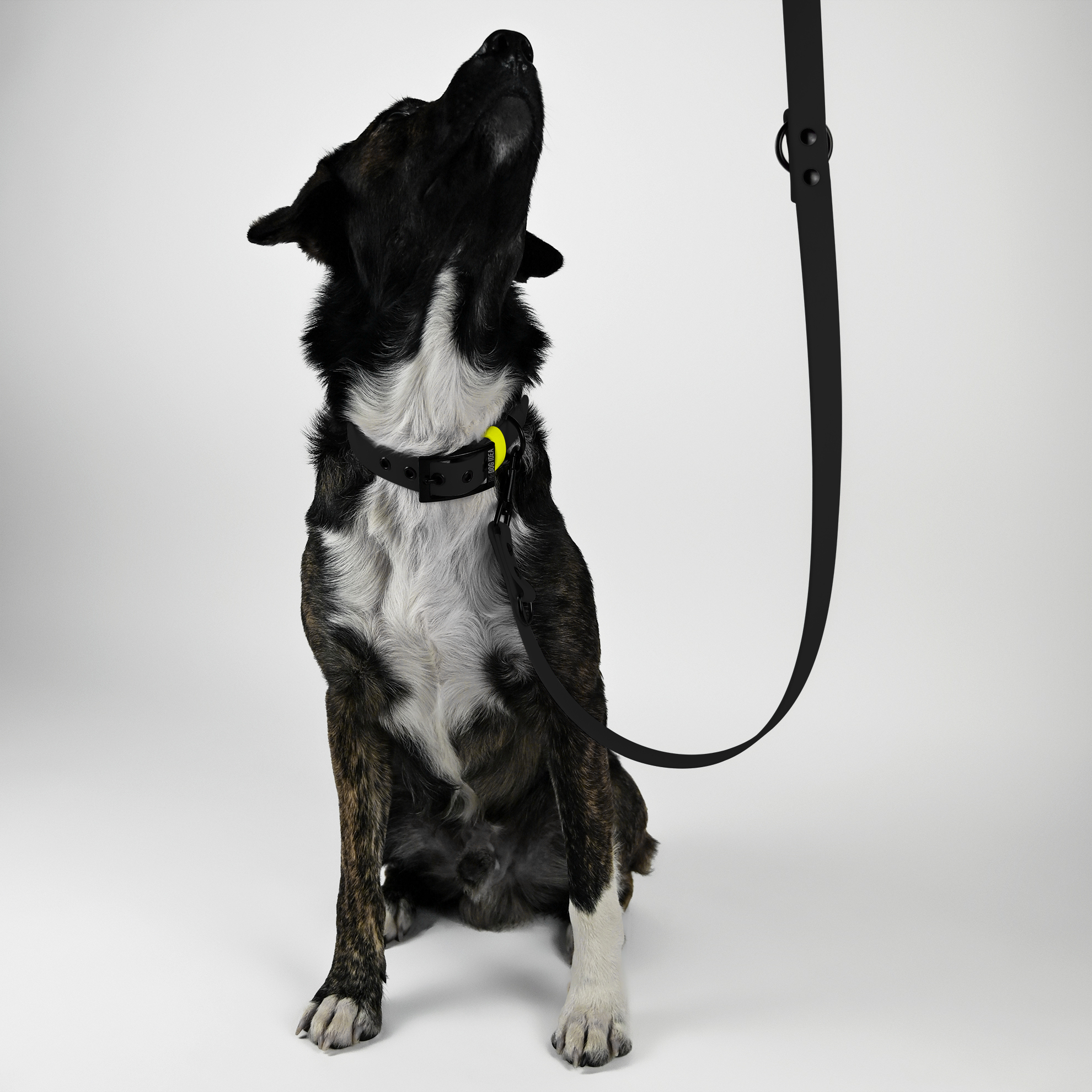 THE DOG IDEA Hundeleinen THE DOG IDEA Biothane Hundeleine Schwarz schwarz