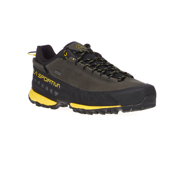 TX5 LOW GTX Herren - Zustiegsschuhe