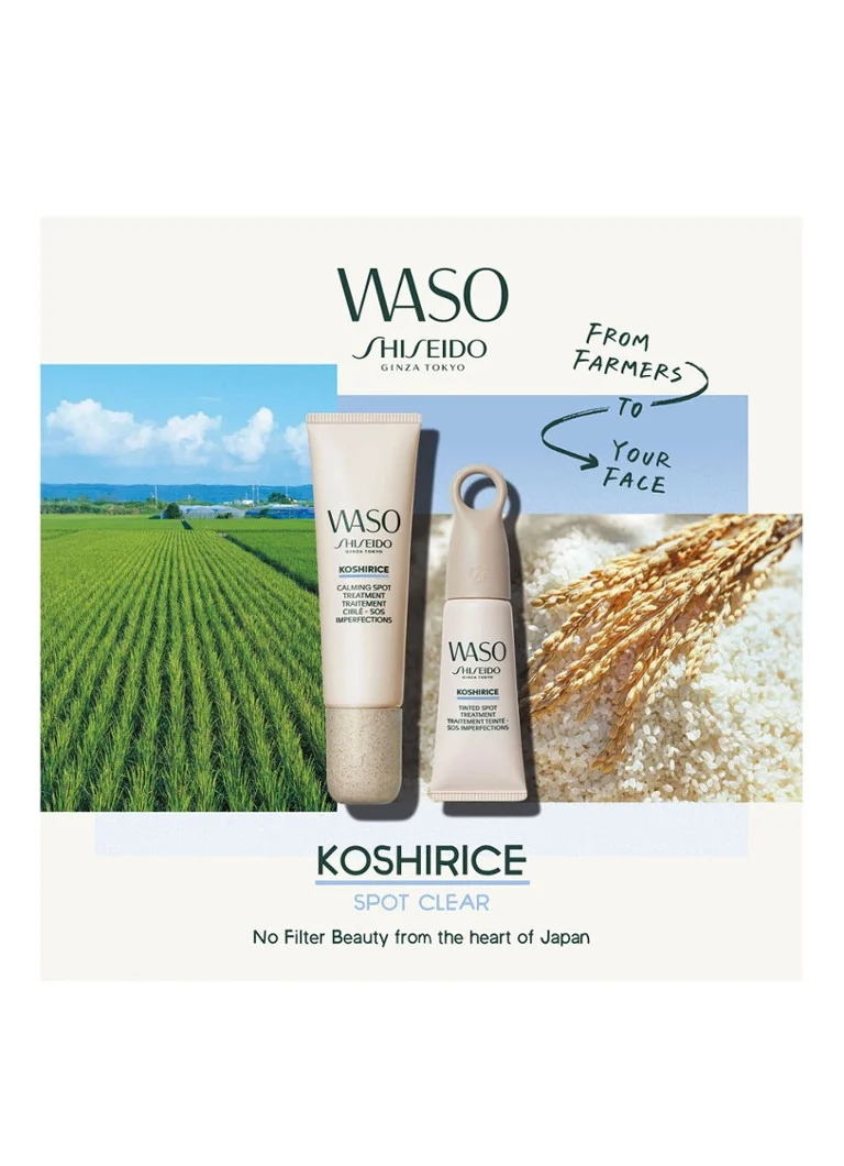 Shiseido Koshirice Getönte Fleckenbehandlung - Abdeckstift