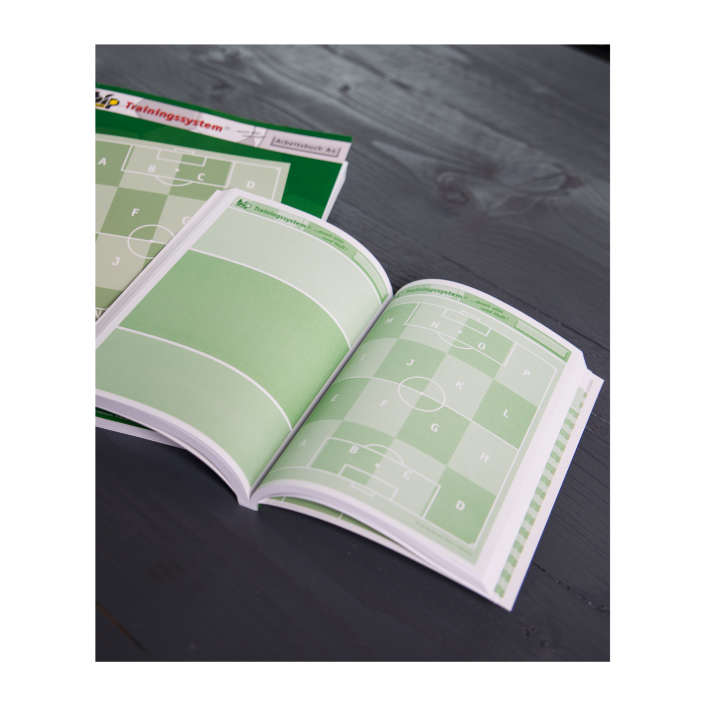 BFP TRAININGSSYSTEM Arbeitsbuch A4