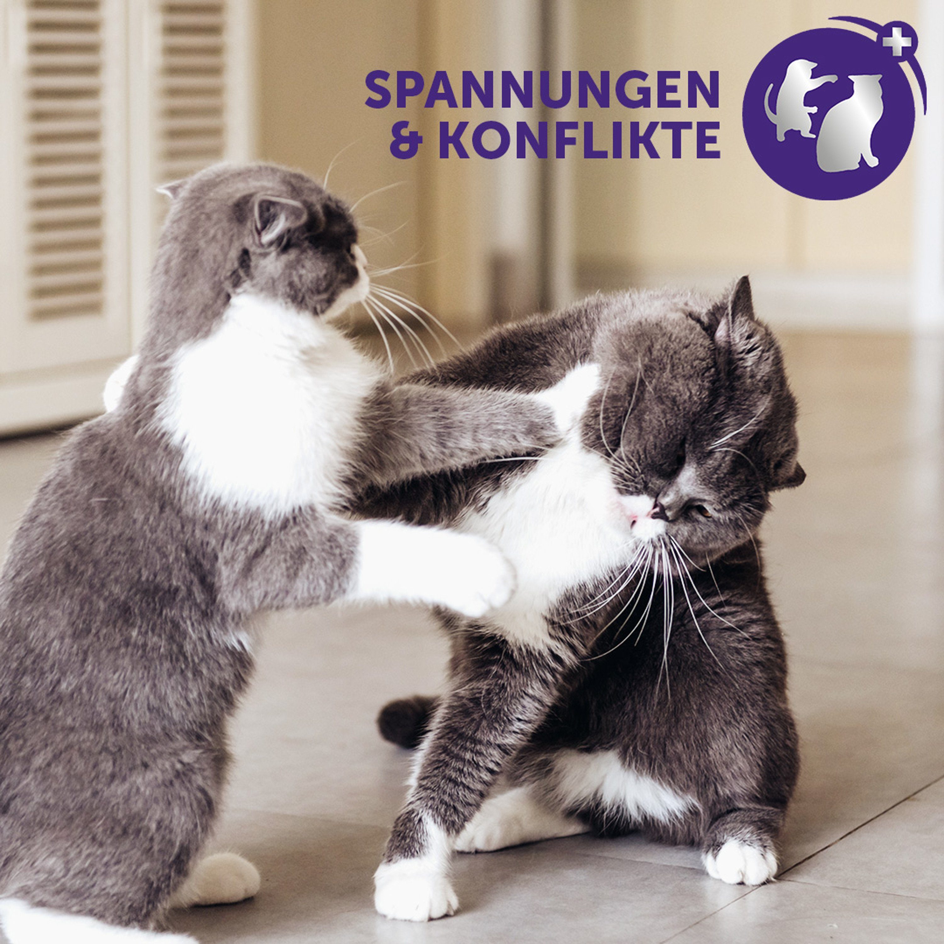 Feliway Katzenstreu FELIWAY® Optimum Verdampfer + 30 Tage Nachfüllflakon 48ml – für noch ausgeglichenere Katzen